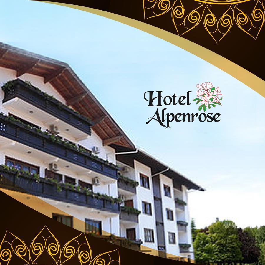 Hotel Alpenrose *